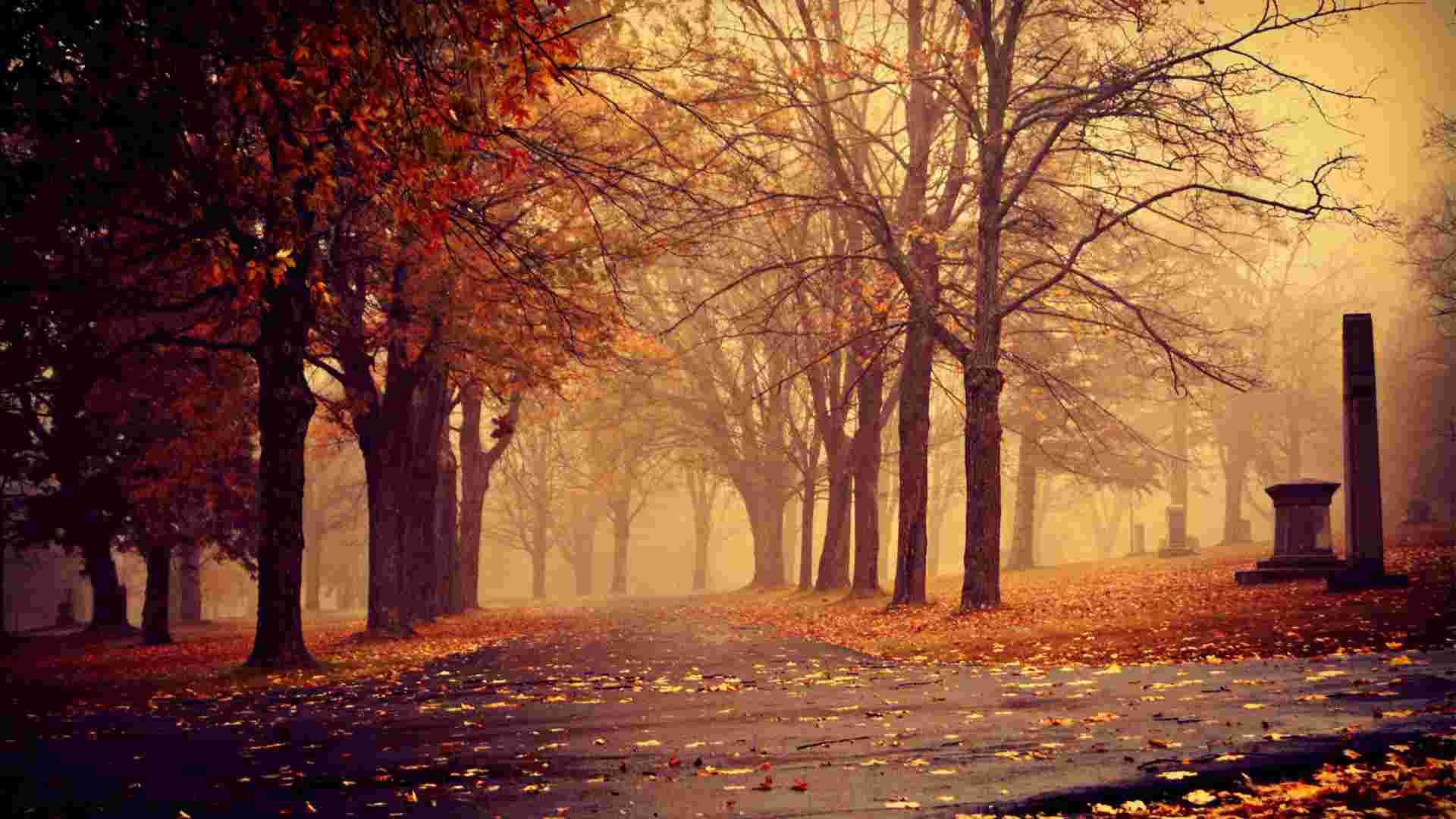 yousa古早歌——滴滴落叶（又名天净沙）